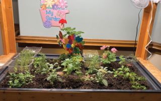 community garden planter box filled with flowers