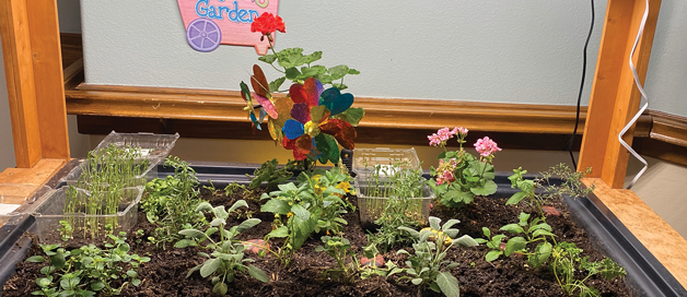 community garden planter box filled with flowers